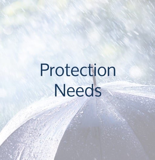 Protection Needs with rainy umbrella behind it